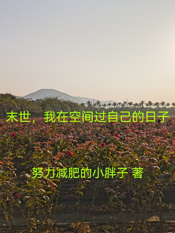 末世，我在空间过自己的日子小说-(沈宁林寒-努力减肥的小胖子)全文大结局免费阅读-(沈宁林寒)末世，我在空间过自己的日子小说最新章节列表-笔趣阁